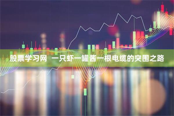 股票学习网  一只虾一罐酱一根电缆的突围之路