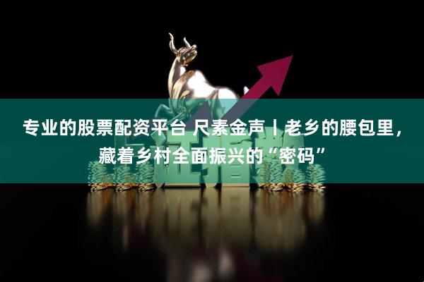 专业的股票配资平台 尺素金声丨老乡的腰包里，藏着乡村全面振兴的“密码”
